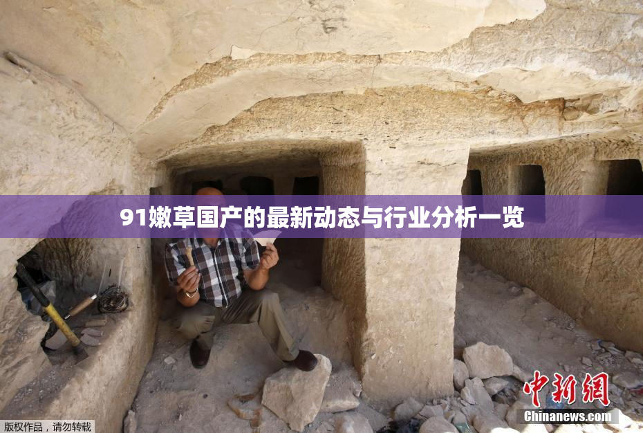 91嫩草国产的最新动态与行业分析一览