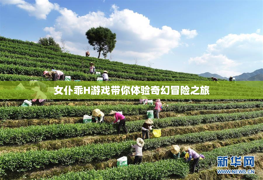 女仆乖H游戏带你体验奇幻冒险之旅