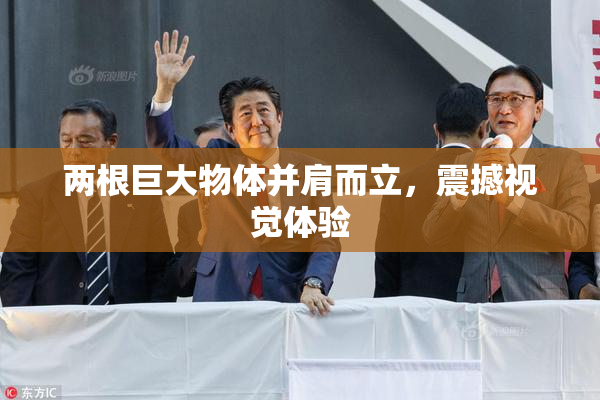 两根巨大物体并肩而立，震撼视觉体验