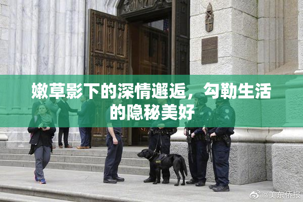 嫩草影下的深情邂逅，勾勒生活的隐秘美好