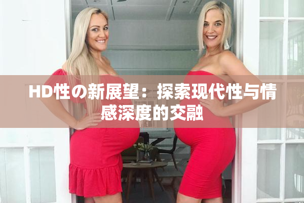 HD性の新展望：探索现代性与情感深度的交融