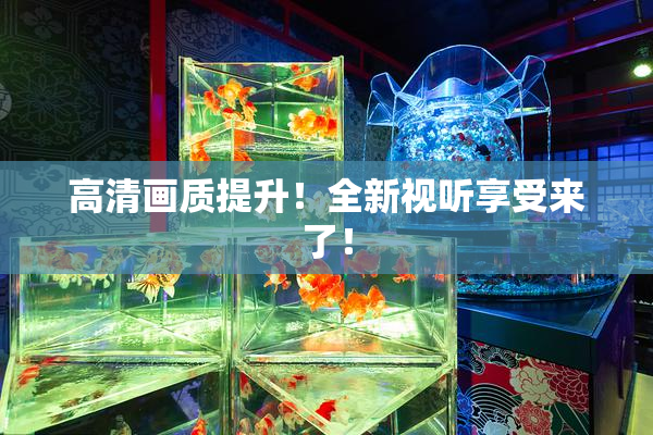 高清画质提升！全新视听享受来了！