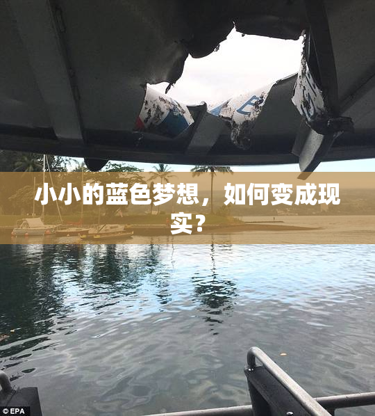 小小的蓝色梦想，如何变成现实？