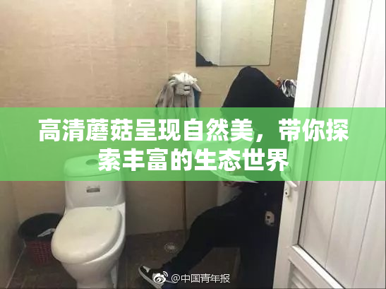 高清蘑菇呈现自然美，带你探索丰富的生态世界