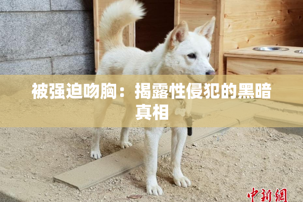 被强迫吻胸：揭露性侵犯的黑暗真相