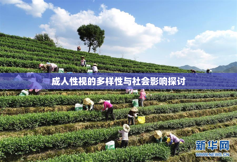 成人性视的多样性与社会影响探讨