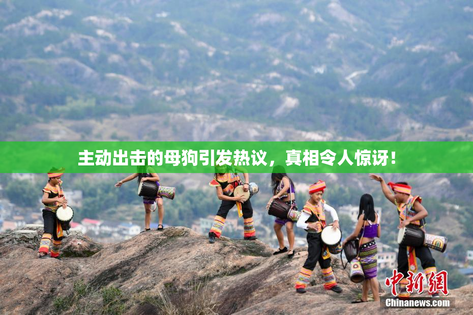 主动出击的母狗引发热议，真相令人惊讶！