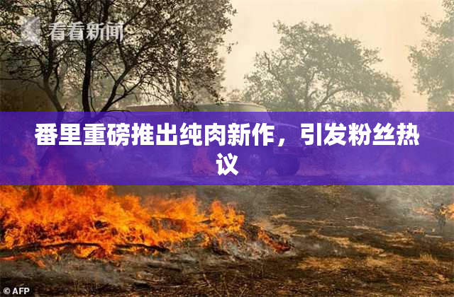 番里重磅推出纯肉新作，引发粉丝热议