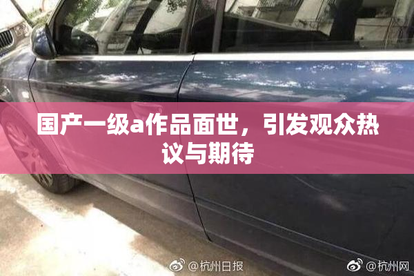 国产一级a作品面世，引发观众热议与期待