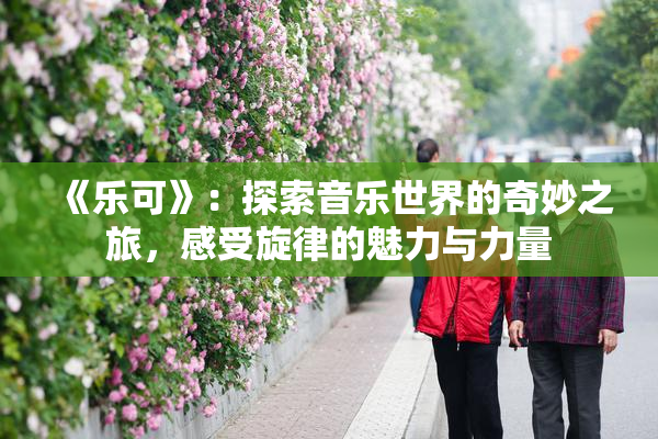 《乐可》：探索音乐世界的奇妙之旅，感受旋律的魅力与力量