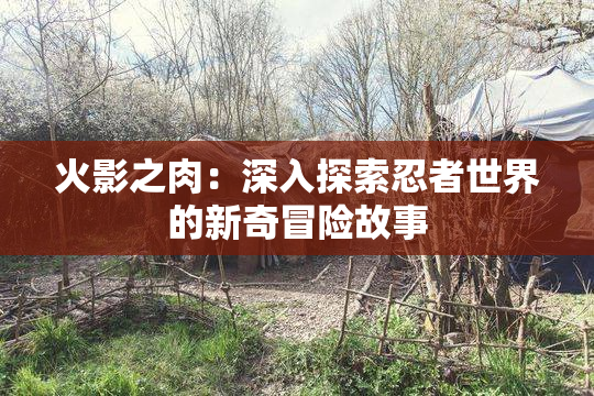 火影之肉：深入探索忍者世界的新奇冒险故事