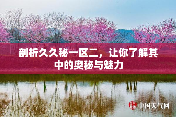剖析久久秘一区二，让你了解其中的奥秘与魅力