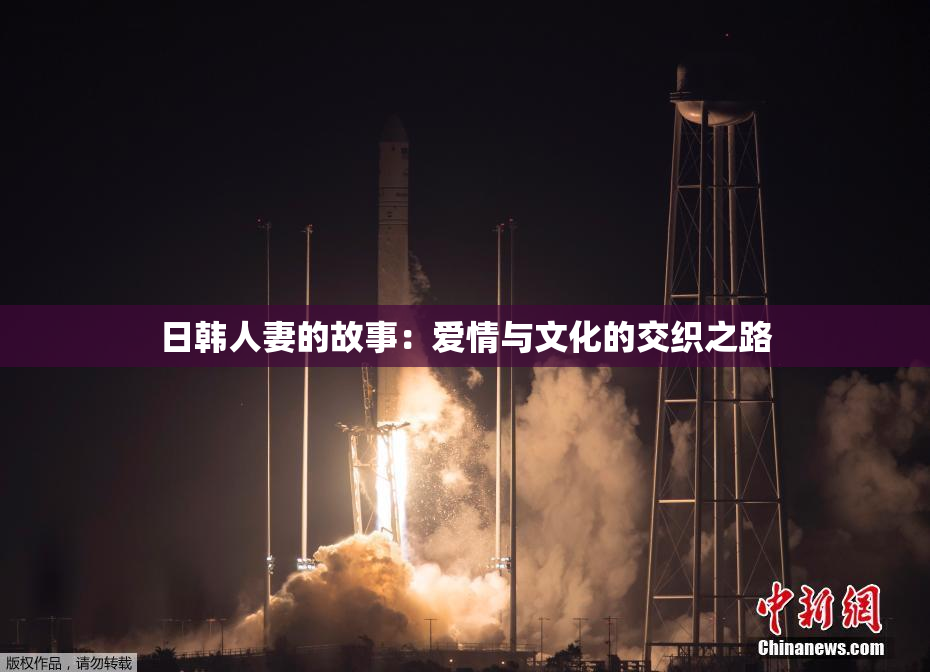日韩人妻的故事：爱情与文化的交织之路