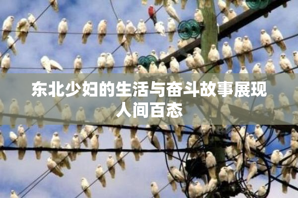 东北少妇的生活与奋斗故事展现人间百态