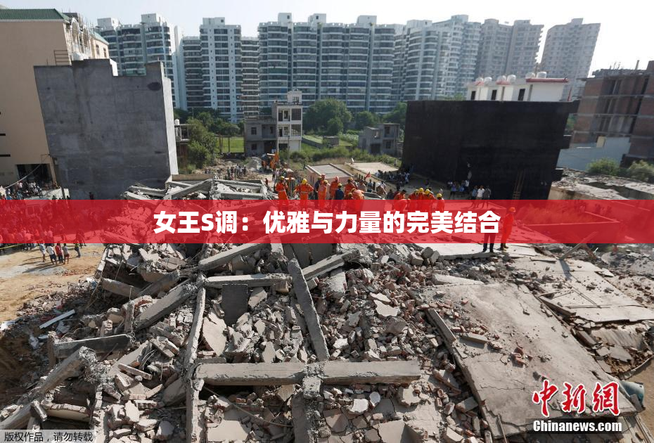 女王S调：优雅与力量的完美结合