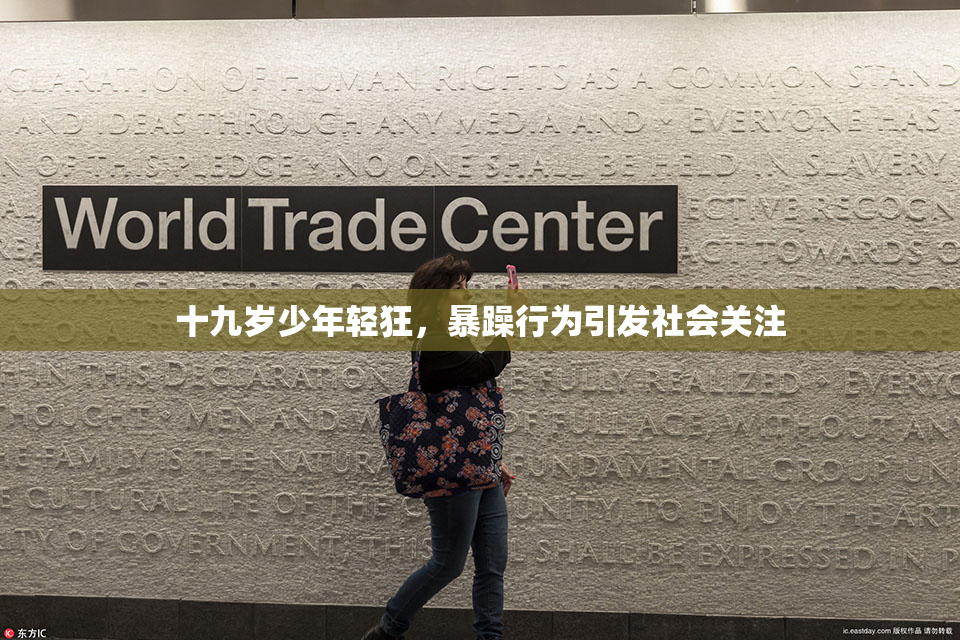 十九岁少年轻狂，暴躁行为引发社会关注