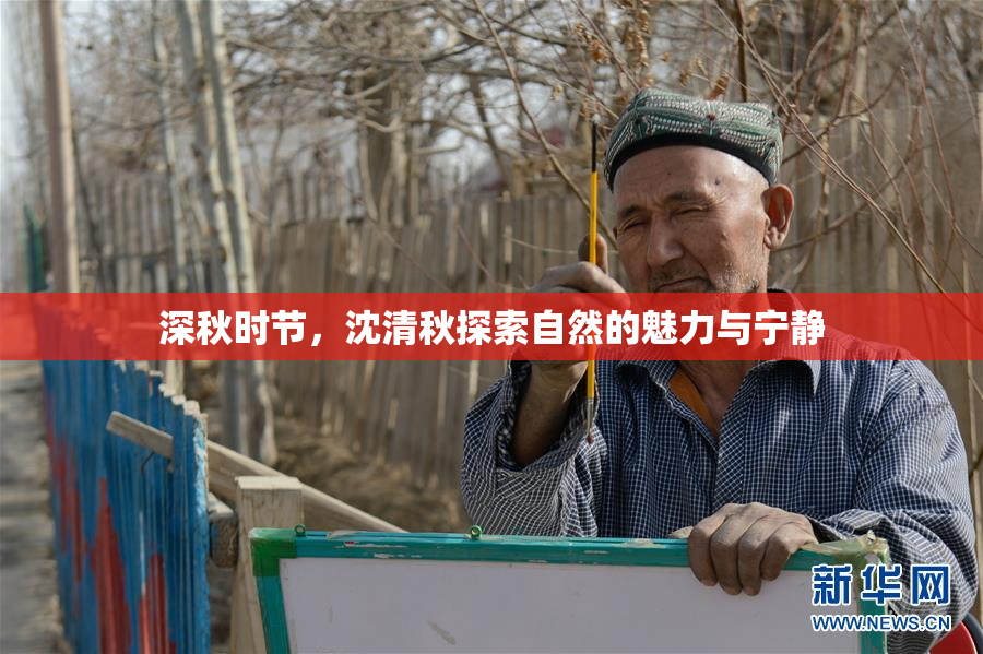 深秋时节，沈清秋探索自然的魅力与宁静