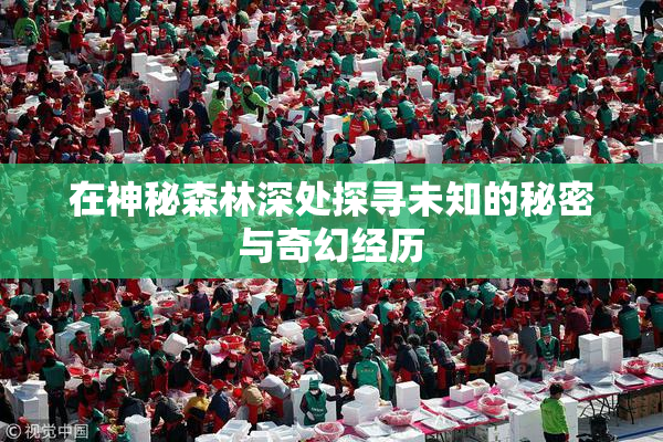 在神秘森林深处探寻未知的秘密与奇幻经历