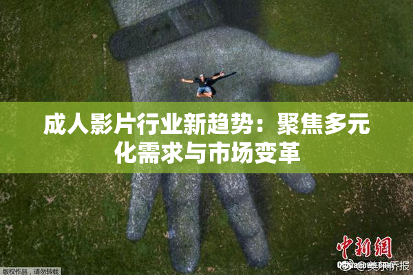 成人影片行业新趋势：聚焦多元化需求与市场变革