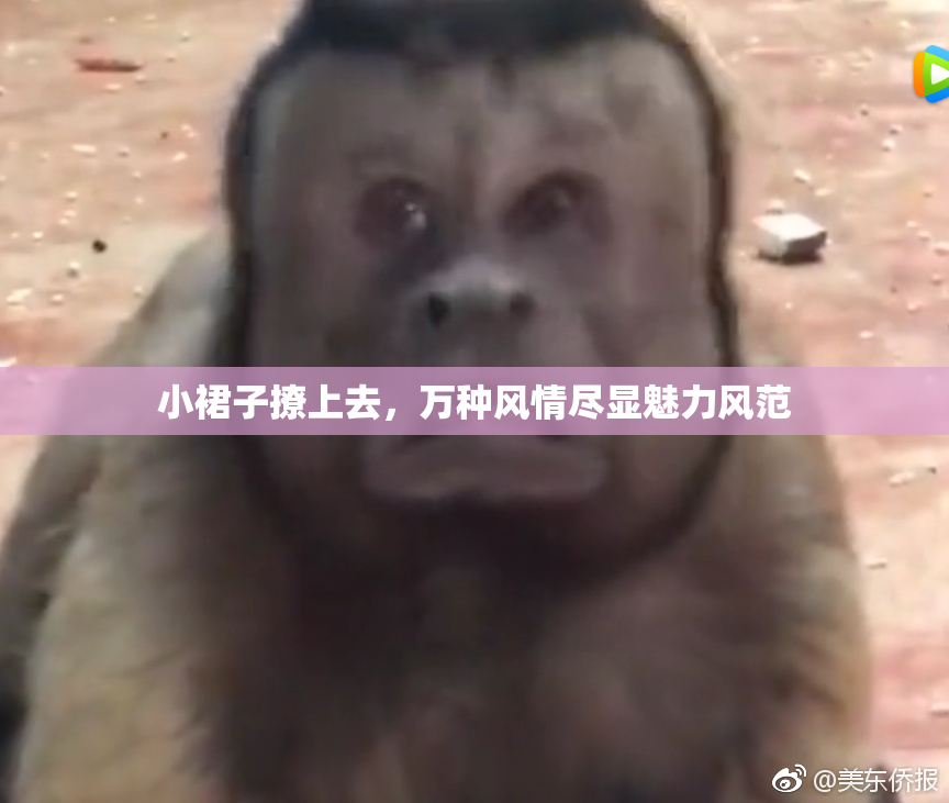 小裙子撩上去，万种风情尽显魅力风范