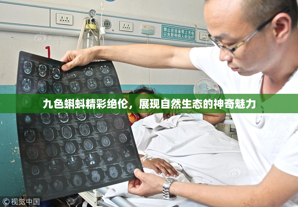 九色蝌蚪精彩绝伦，展现自然生态的神奇魅力