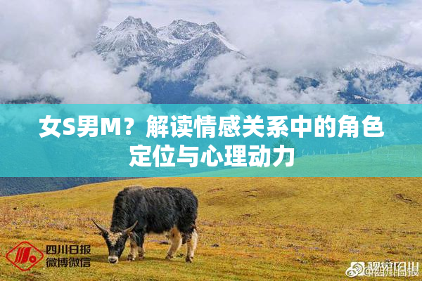 女S男M？解读情感关系中的角色定位与心理动力
