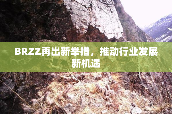 BRZZ再出新举措，推动行业发展新机遇