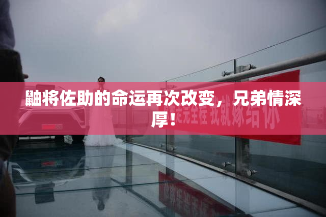 鼬将佐助的命运再次改变，兄弟情深厚！