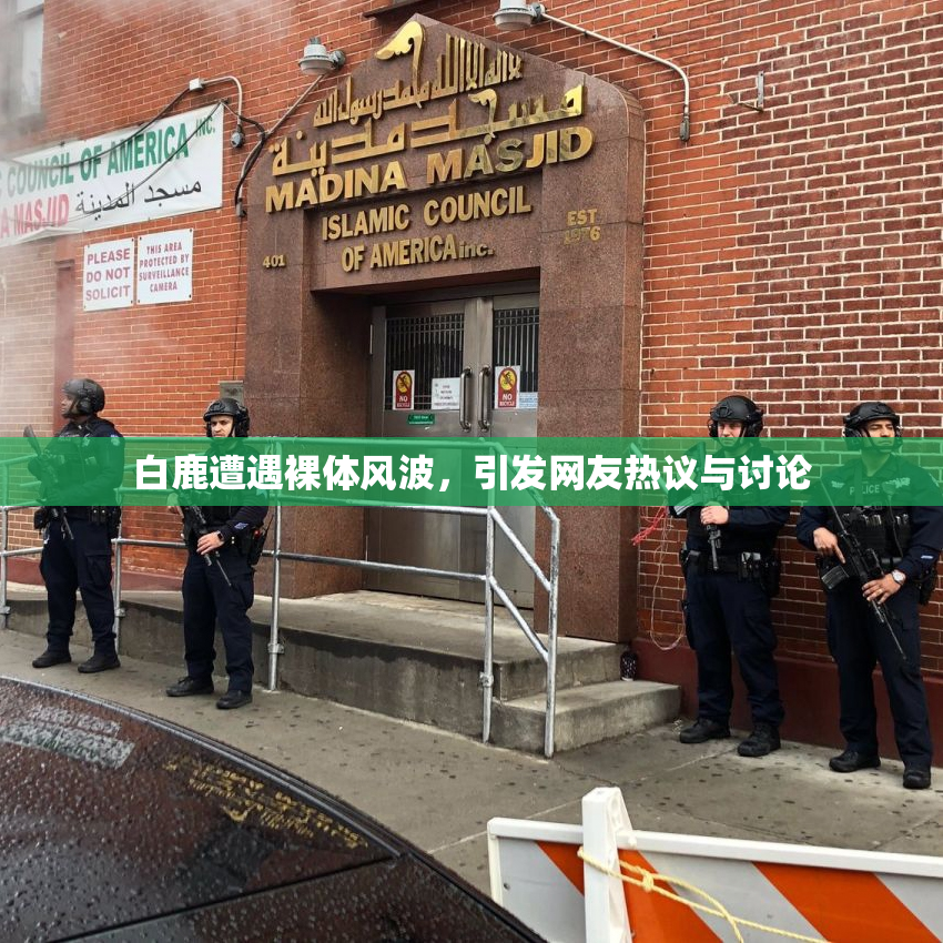 白鹿遭遇裸体风波，引发网友热议与讨论