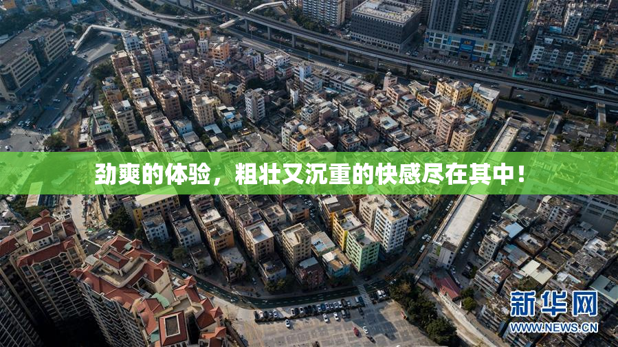 劲爽的体验，粗壮又沉重的快感尽在其中！