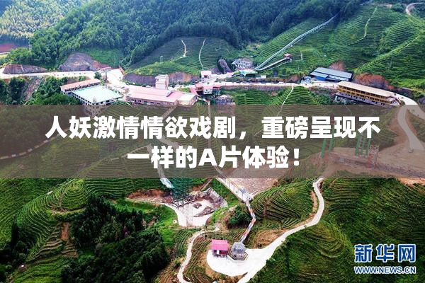 人妖激情情欲戏剧，重磅呈现不一样的A片体验！