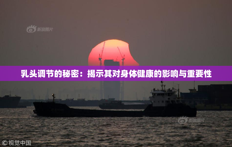 乳头调节的秘密：揭示其对身体健康的影响与重要性