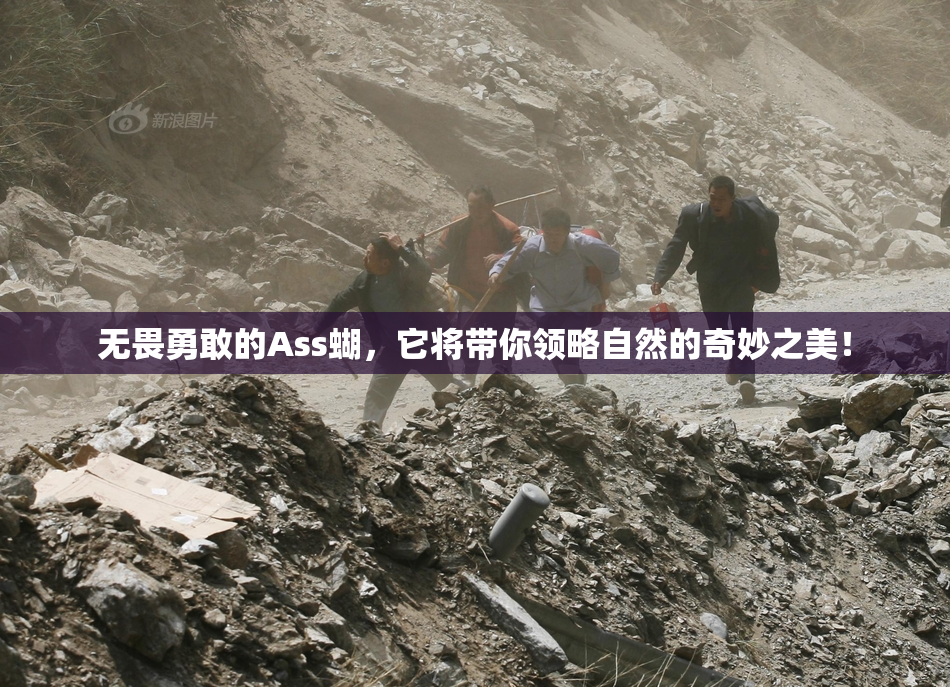 无畏勇敢的Ass蝴，它将带你领略自然的奇妙之美！