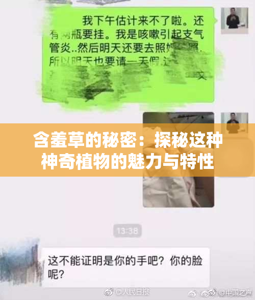 含羞草的秘密：探秘这种神奇植物的魅力与特性