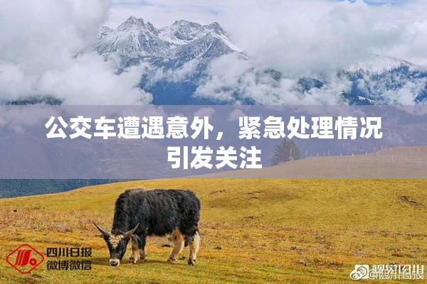 公交车遭遇意外，紧急处理情况引发关注
