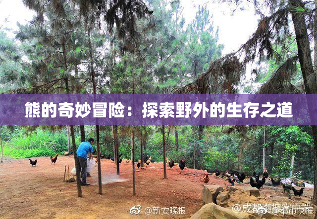 熊的奇妙冒险：探索野外的生存之道