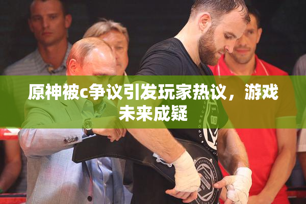 原神被c争议引发玩家热议，游戏未来成疑