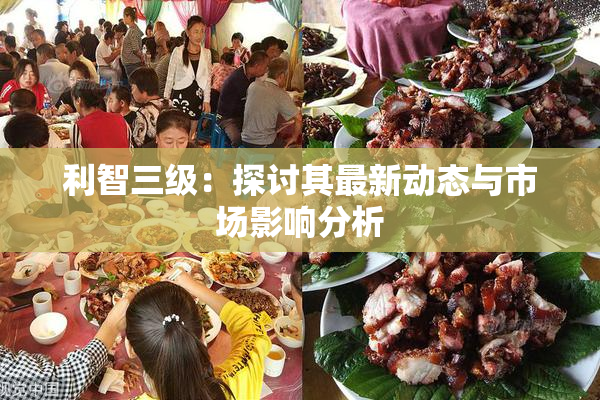 利智三级：探讨其最新动态与市场影响分析