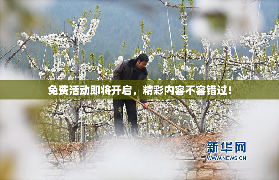 免费活动即将开启，精彩内容不容错过！