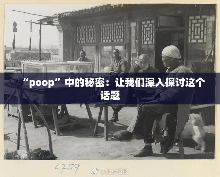 “poop”中的秘密：让我们深入探讨这个话题