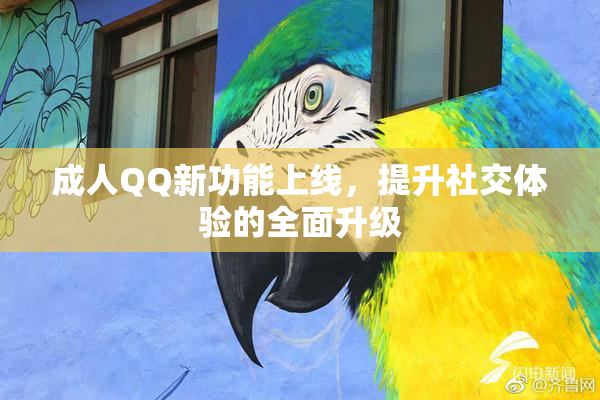 成人QQ新功能上线，提升社交体验的全面升级