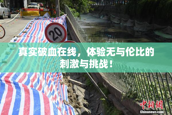 真实破血在线，体验无与伦比的刺激与挑战！