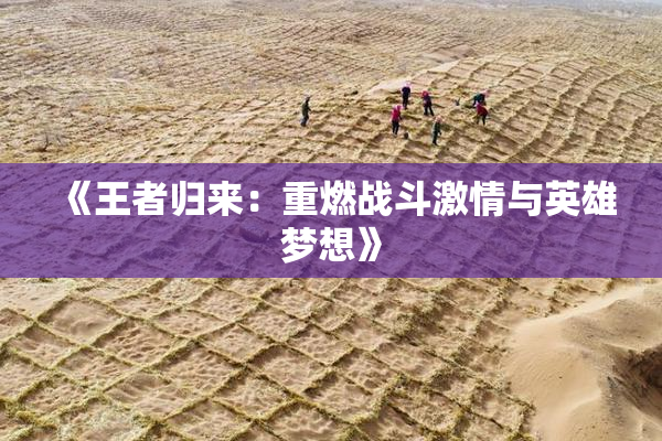《王者归来：重燃战斗激情与英雄梦想》