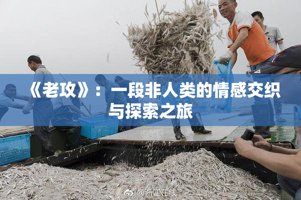 《老攻》：一段非人类的情感交织与探索之旅