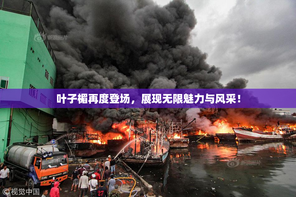叶子楣再度登场，展现无限魅力与风采！