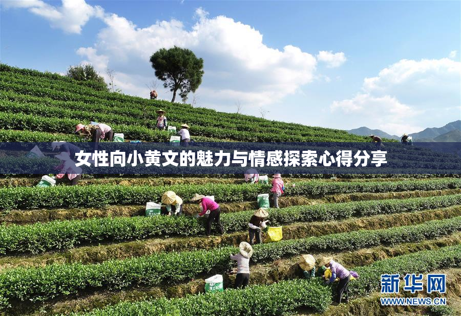 女性向小黄文的魅力与情感探索心得分享