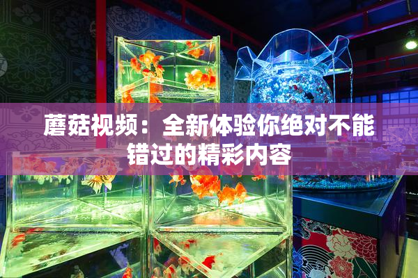蘑菇视频：全新体验你绝对不能错过的精彩内容