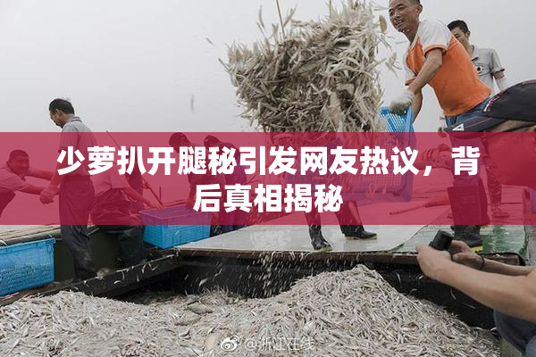 少萝扒开腿秘引发网友热议，背后真相揭秘
