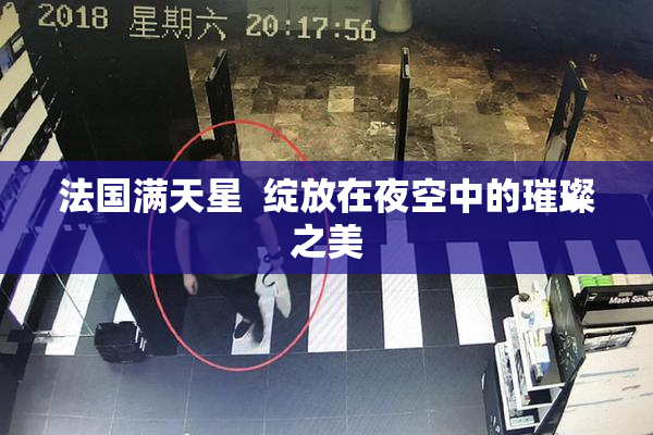 法国满天星  绽放在夜空中的璀璨之美