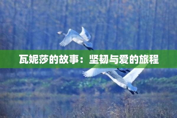 瓦妮莎的故事：坚韧与爱的旅程